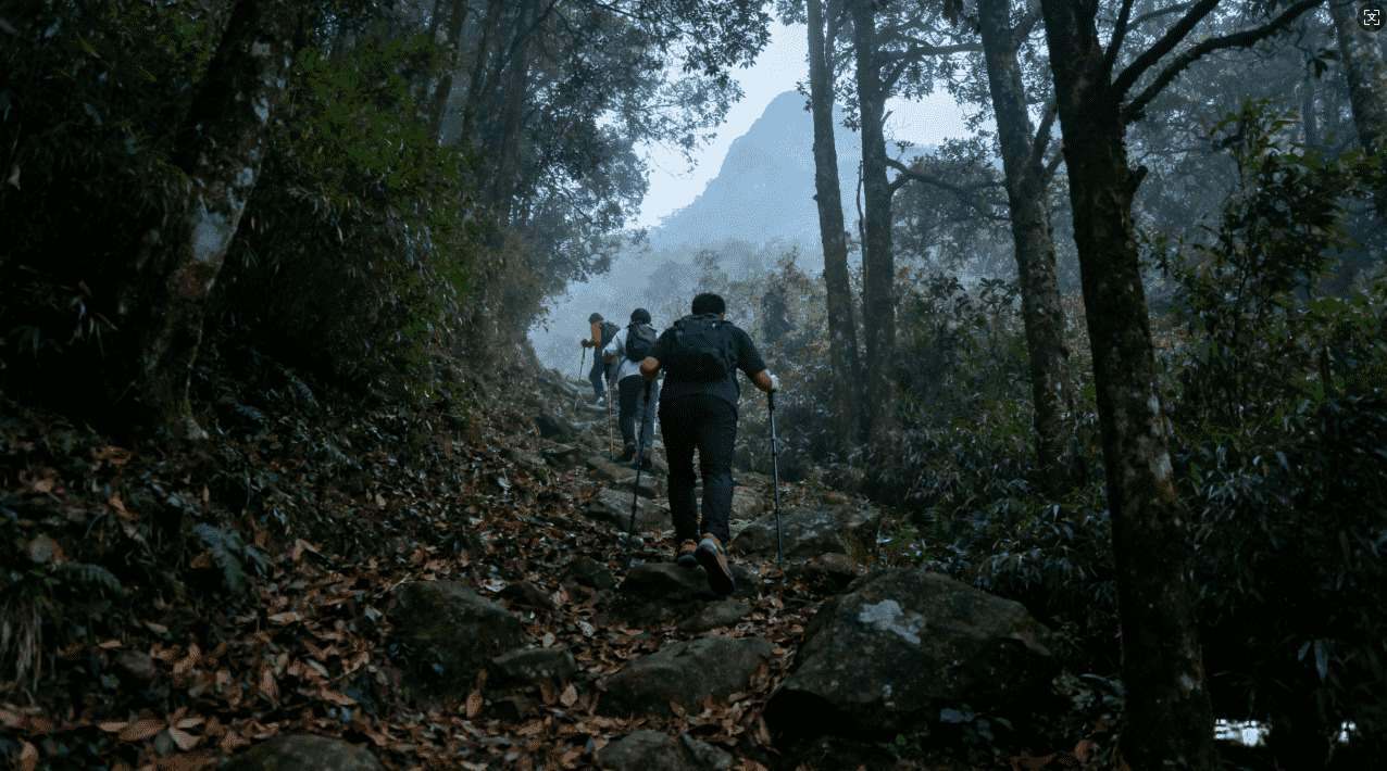 一键免费下载芒果加速器的详细教程